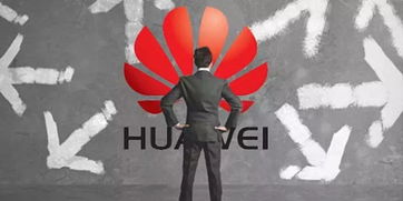 王峰評論馮鑫 等他出來喝酒 科創板首周運行平穩,總市值超5000億元 哪吒之魔童降世 首周票房破7億